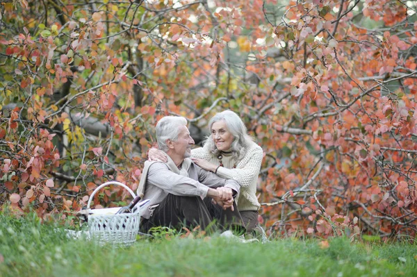 Pareja Ancianos Haciendo Picnic Parque —  Fotos de Stock