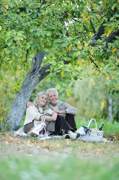 Amar Pareja Ancianos Haciendo Picnic Parque —  Fotos de Stock