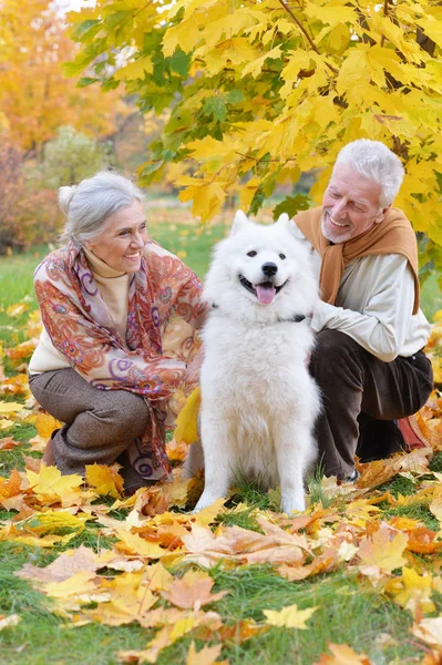 Happy Senior Couple Autumn Park Dog — Stock Photo, Image