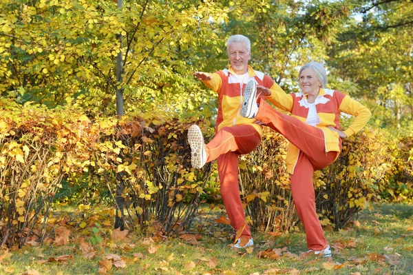 适合年长夫妇在秋天公园锻炼身体 — 图库照片