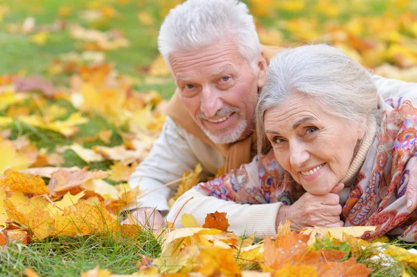 Happy Senior Couple Lying Park — Stock Photo, Image