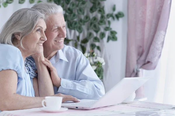 Glückliches Seniorenpaar Trinkt Tee Und Benutzt Laptop — Stockfoto