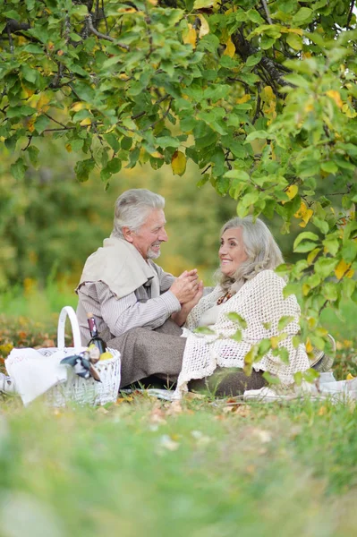 Amare Gli Anziani Coppia Avendo Pic Nic Nel Parco — Foto Stock