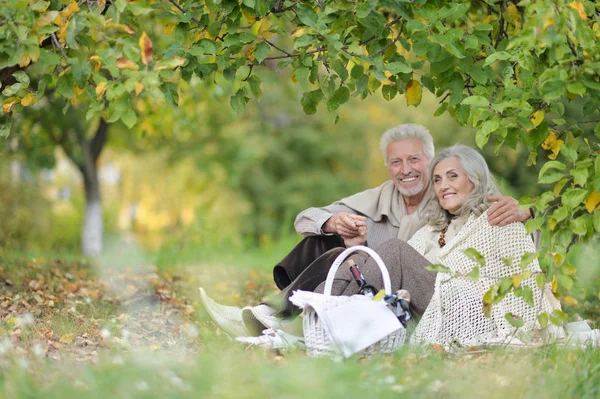 爱的老年夫妇在公园野餐 — 图库照片
