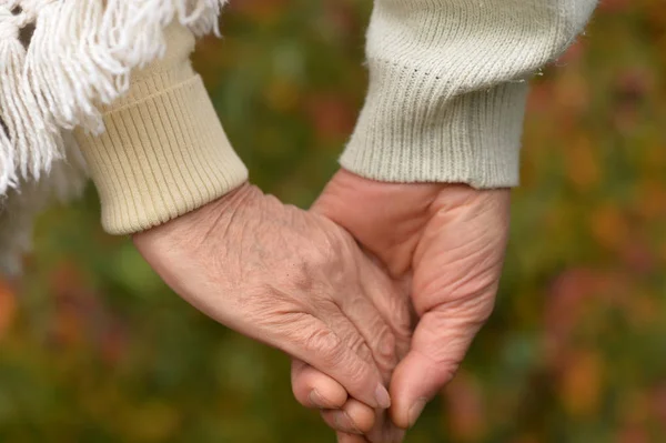 Coppia Che Tiene Mano Insieme Sfondo Del Parco — Foto Stock