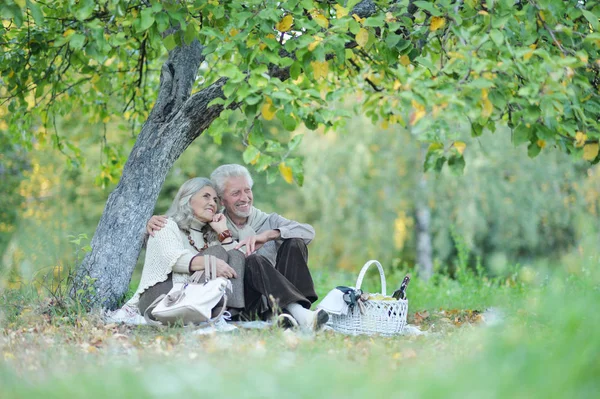 Loving Elderly Couple Having Picnic Park — Stock Photo, Image