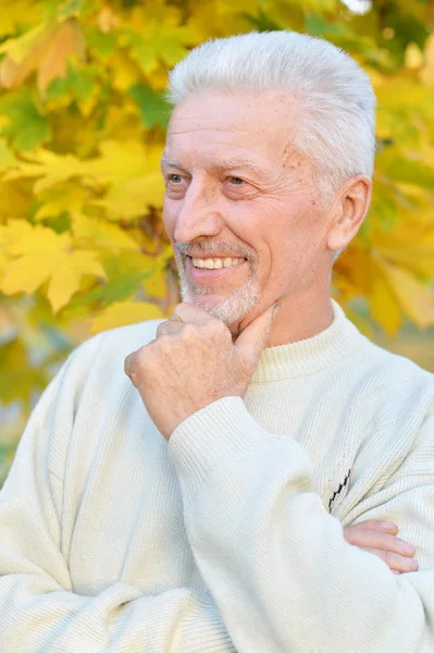 Счастливый Пожилой Человек Позирует Осеннем Парке — стоковое фото