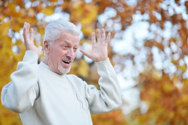 Gelukkig Bejaarde Man Poseren Herfst Park — Stockfoto