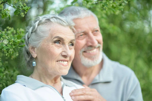 Feliz Pareja Ancianos Posando Parque Otoño —  Fotos de Stock