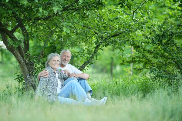 公園の美しい先輩夫婦の肖像画 — ストック写真