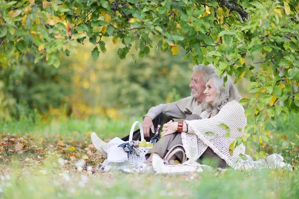 Amante Casal Idosos Fazendo Piquenique Parque — Fotografia de Stock