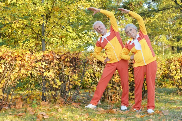 Forma Pareja Ancianos Haciendo Ejercicio Parque Otoño — Foto de Stock