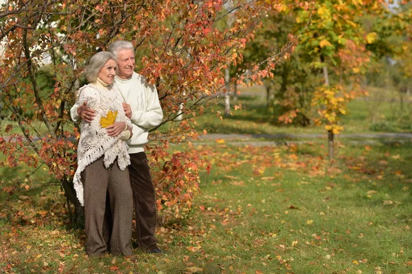 Retrato Hermosa Pareja Mayor Caucásica Parque Hombre Señalando Con Dedo — Foto de Stock