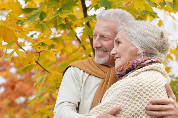 Portrait Beau Couple Personnes Âgées Étreignant Dans Parc — Photo