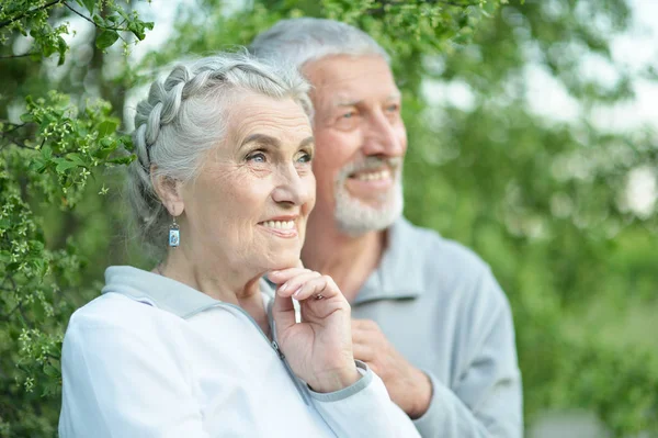 Glückliches Senioren Paar Posiert Herbstpark — Stockfoto