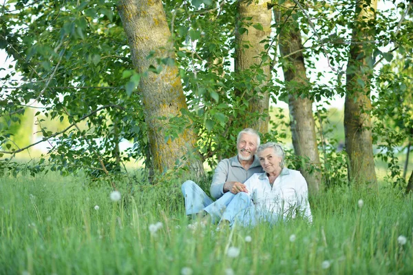 Bom Casal Maduro Sentado Grama Verde Parque Verão — Fotografia de Stock