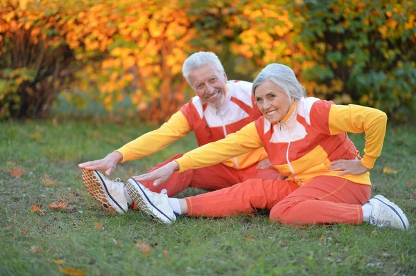 Happy Senior Couple Doing Exercises Autumnal Park — Stock Photo, Image