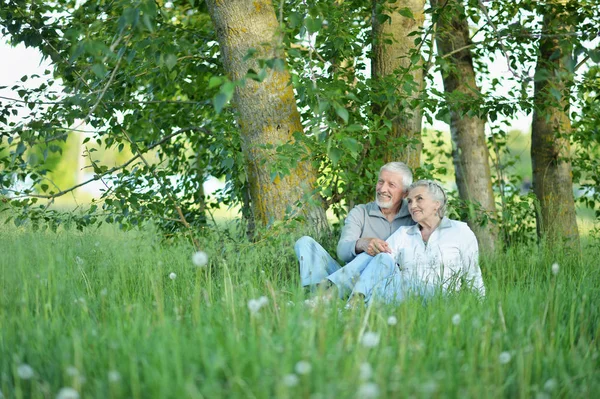 Mooi Ouder Paar Zittend Groen Gras Zomer Park — Stockfoto