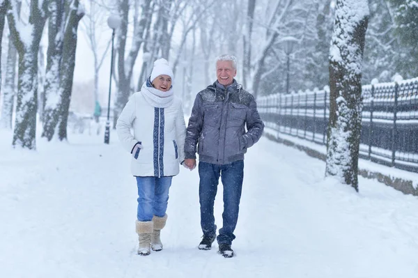 Senior couple at winter outdoors — Stock Photo, Image