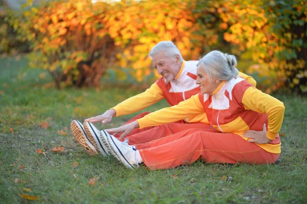 Heureux Couple Personnes Âgées Faisant Des Exercices Dans Parc Automnal — Photo