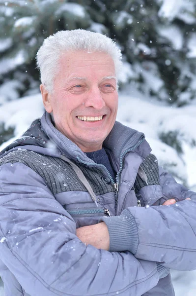 Mature man portrait — Stock Photo, Image