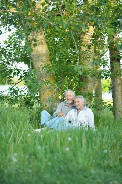 夏の公園の緑の芝生の上に座って素敵な成熟したカップル — ストック写真