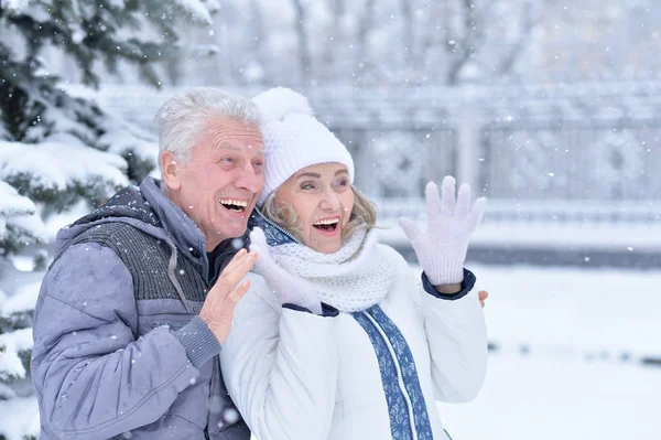 Seniorenpaar im Winter im Freien — Stockfoto