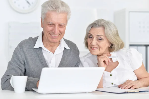 Glad Senior Bokhållare Arbetar Med Laptop — Stockfoto