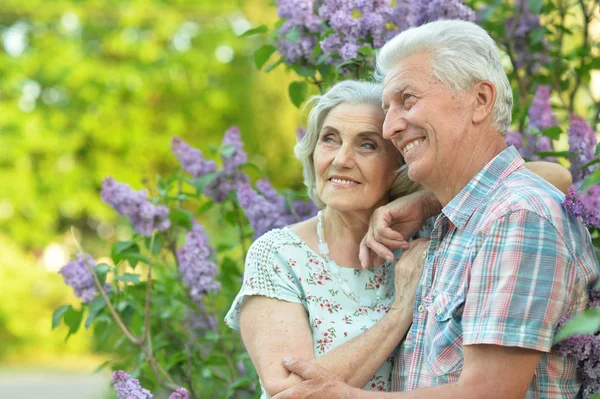 stock image portrait of beautiful senior couple on lilacs background  in the park