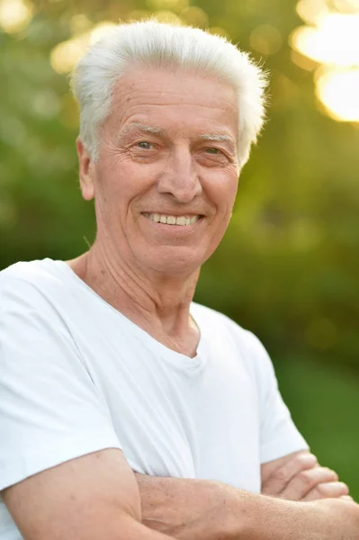Portrait Smiling Senior Man Park — Stock Photo, Image