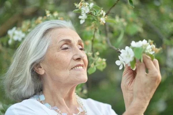 Happy Senior Vacker Kvinna Spring Park Med Blommande Äppelträd — Stockfoto