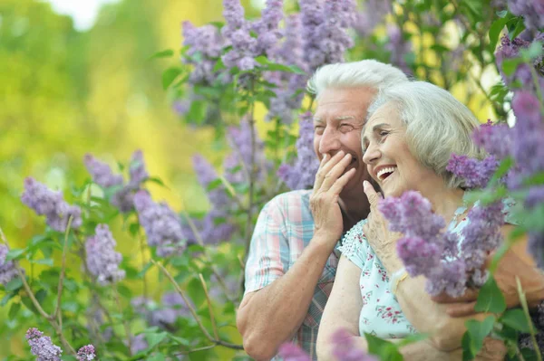 Portrait Beau Couple Personnes Âgées Sur Fond Lilas Dans Parc — Photo