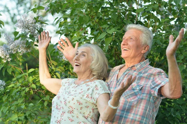 Ritratto Una Bella Coppia Anziani Sorpresa Nel Parco — Foto Stock