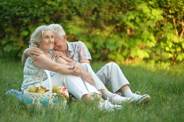 Loving Elderly Couple Having Picnic Summer — Stock Photo, Image