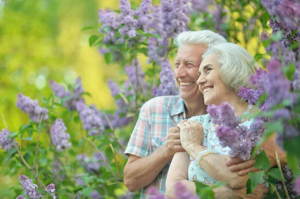 Portrait Beau Couple Personnes Âgées Sur Fond Lilas Dans Parc — Photo