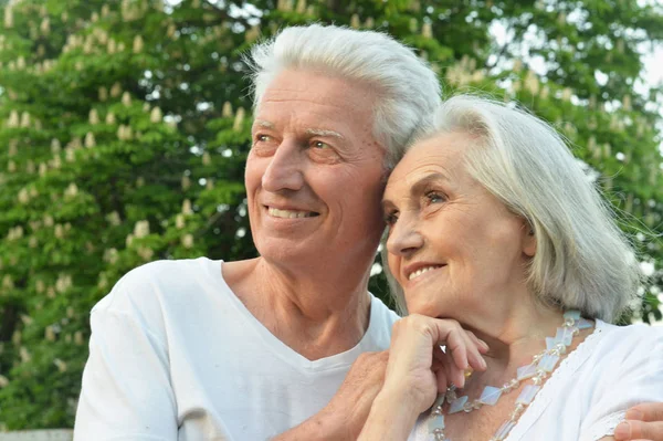 Porträt Eines Schönen Senioren Paares Posiert Park — Stockfoto