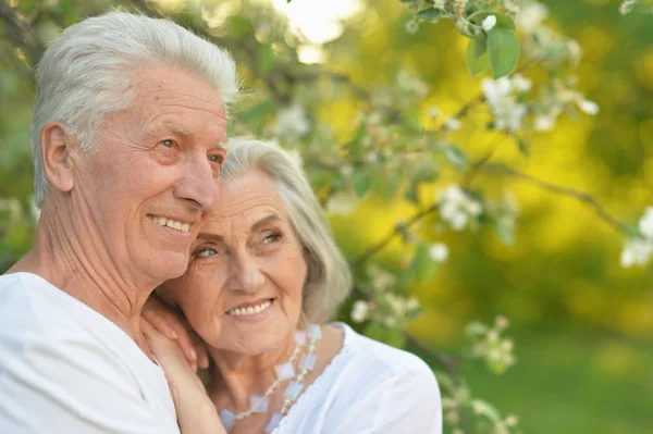 Porträt Eines Schönen Senioren Paares Posiert Park — Stockfoto