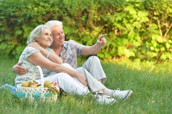 Liebendes Älteres Ehepaar Beim Picknick Sommer — Stockfoto