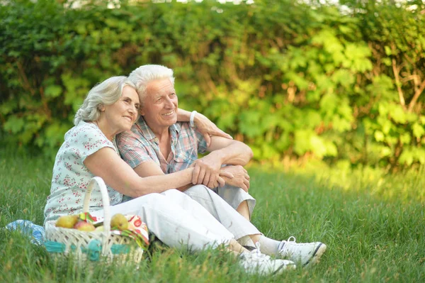 Liefdevolle Bejaarde Echtpaar Met Een Picknick Zomer — Stockfoto