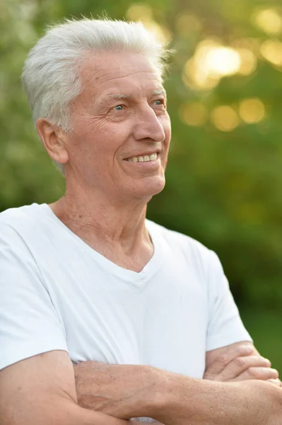Portret Van Glimlachen Senior Man Park — Stockfoto