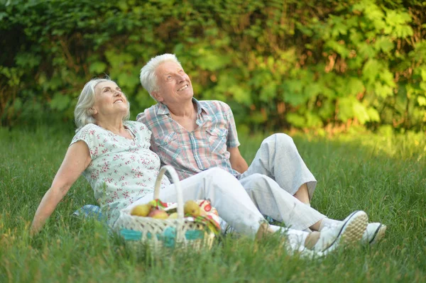 Loving Elderly Couple Having Picnic Summer — Stock Photo, Image