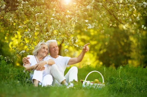 Loving Elderly Couple Having Picnic Summer Garden Man Showing Something — Stock Photo, Image