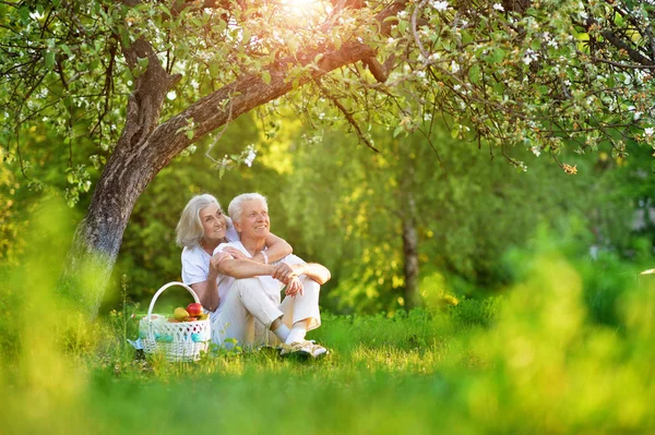 Amare Gli Anziani Coppia Facendo Picnic Nel Giardino Estivo — Foto Stock