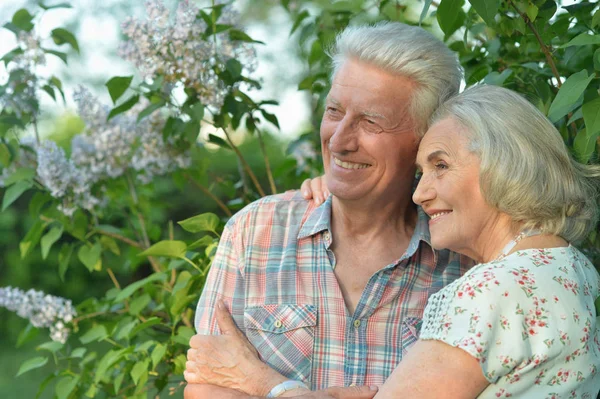 Beautiful Senior Couple Hugging Park Lilacs — Stock Photo, Image