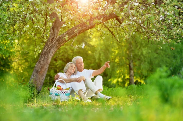 Älskande Äldre Par Som Har Picknick Sommar Trädgården Man Visar — Stockfoto