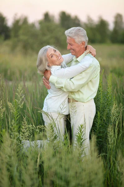 Parkta Rahatlatıcı Güzel Senior Çift — Stok fotoğraf