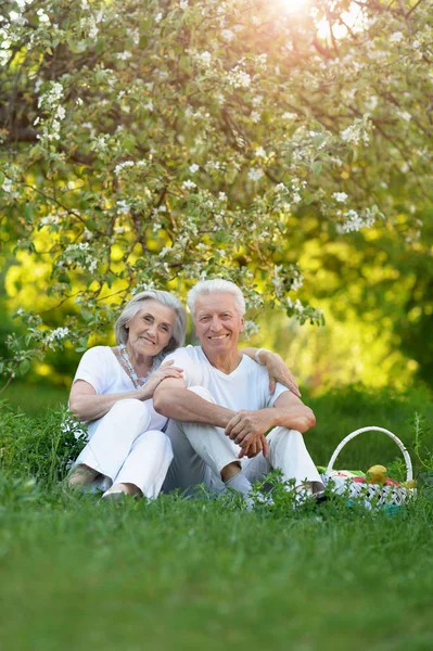 Milující Starší Pár Mají Piknik Letní Zahradě — Stock fotografie