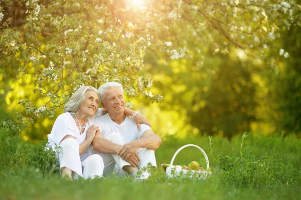 Amante Casal Idosos Fazendo Piquenique Jardim Verão — Fotografia de Stock