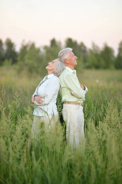 Beautiful Senior Couple Relaxing Park — Stock Photo, Image