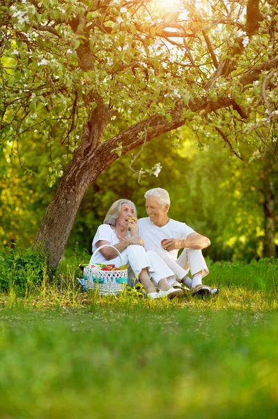 Amare Gli Anziani Coppia Facendo Picnic Nel Giardino Estivo — Foto Stock